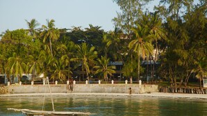 Una orilla tranquila con un barco amarrado cerca de un paseo de hormigón, rodeado de exuberantes palmeras y un edificio al fondo.