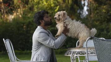 A person holding a small dog on a chair outdoors.