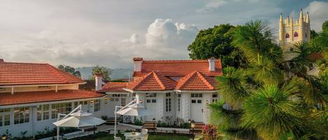 Premium bedding, down duvets, pillow-top beds, minibar