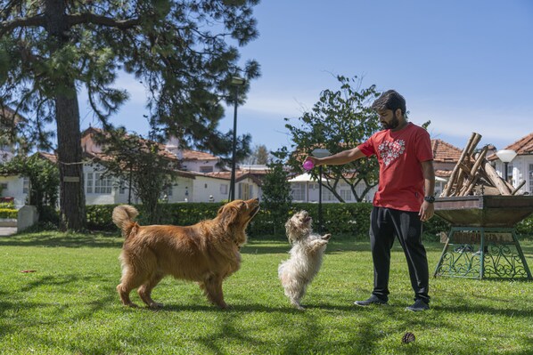 A person playing with two dogs in a grassy area with houses in the background. - Gateway Coonoor (Coonoor)