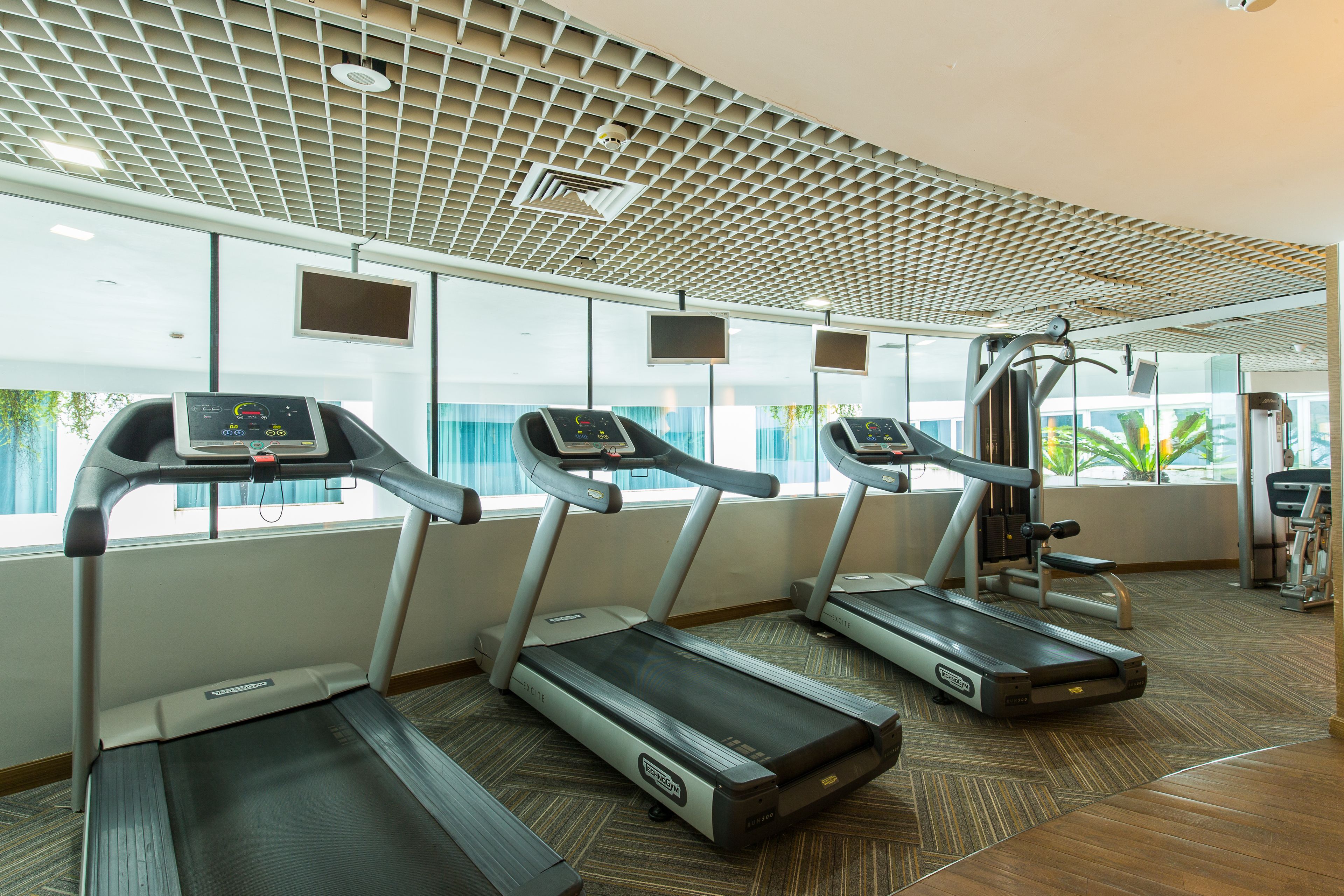 Un gimnasio con cintas de correr alineadas junto a una pared con ventanales amplios, techo con diseño de cuadrícula y suelo alfombrado.