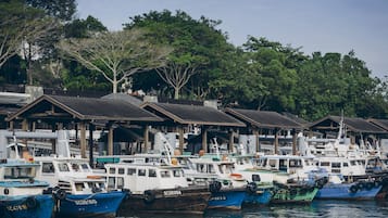 Un puerto deportivo con varias embarcaciones amarradas en fila, estructuras de madera con techos y árboles al fondo.