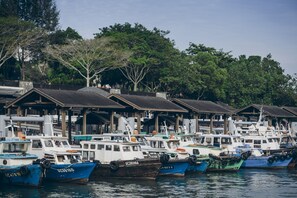海灘