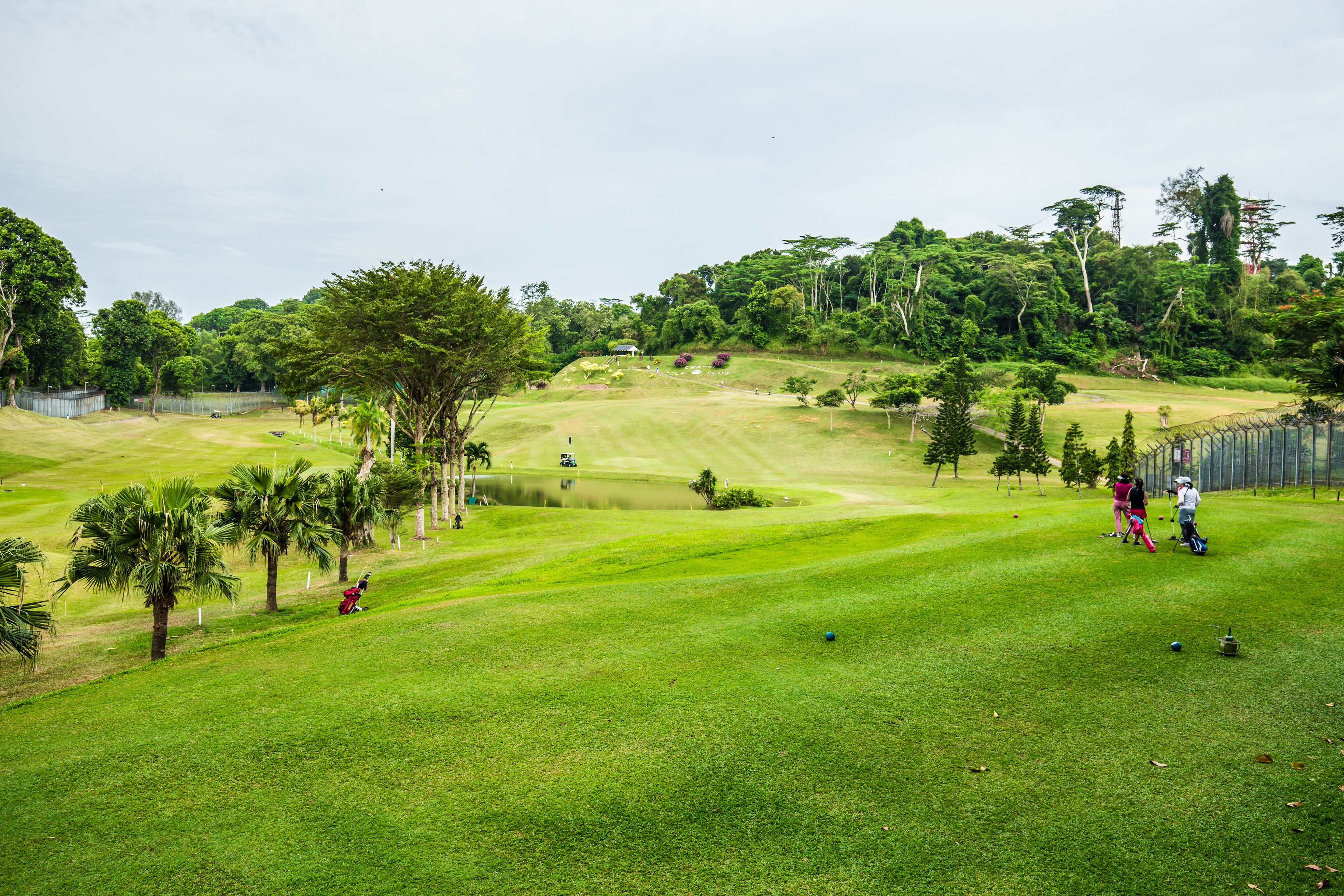 Un campo de golf con un estanque, palmeras y una zona delimitada por una cerca.