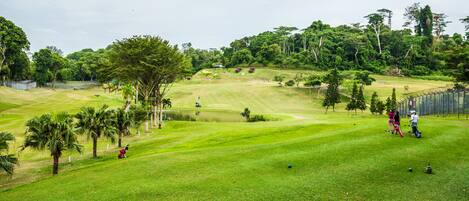 Un campo de golf con un estanque, palmeras y una zona delimitada por una cerca.