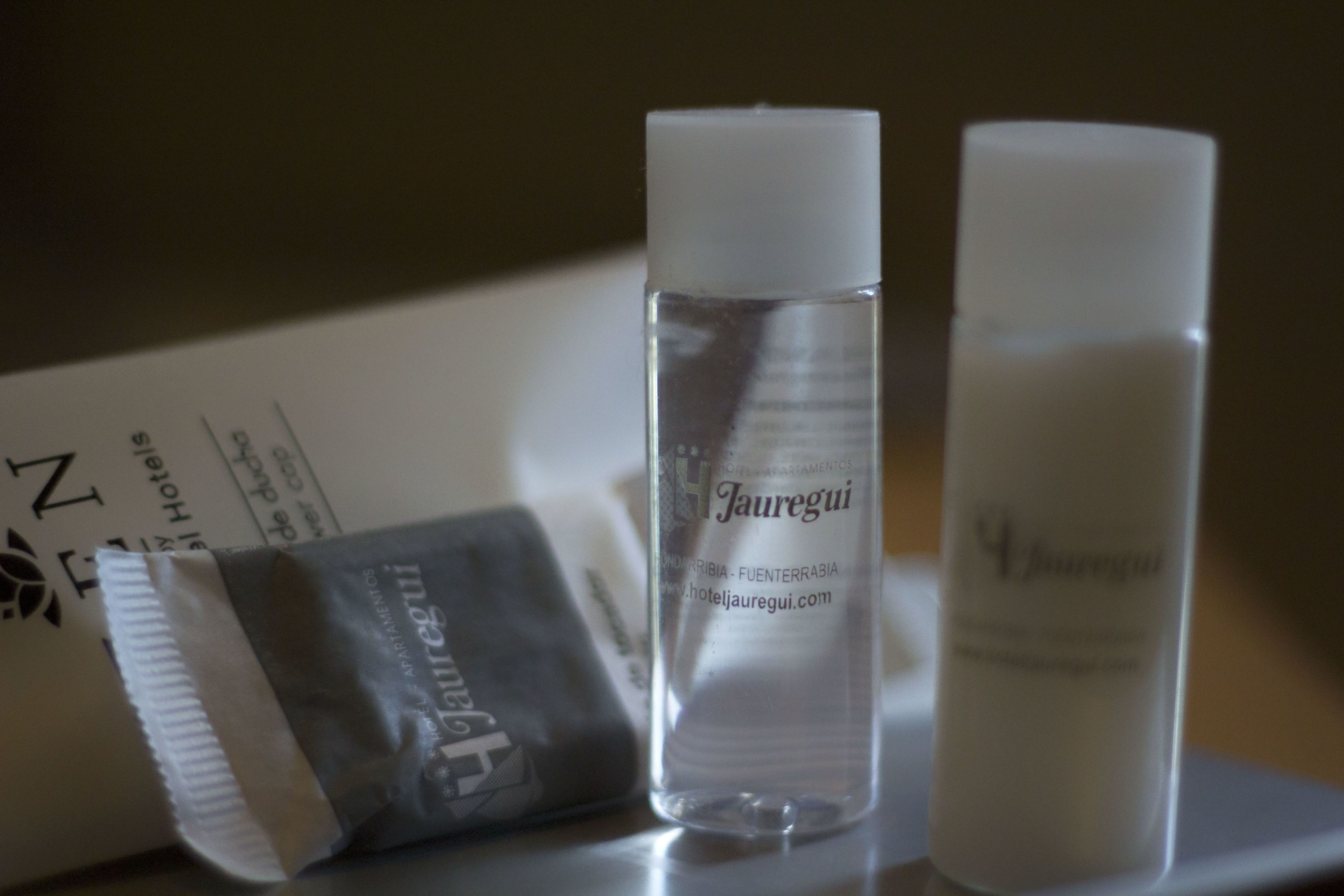 rainfall showerhead, free toiletries, hair dryer, bidet