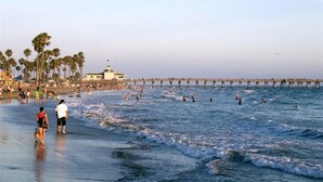 A beach with a pier extending into the water, palm trees, and people walking along the shore.