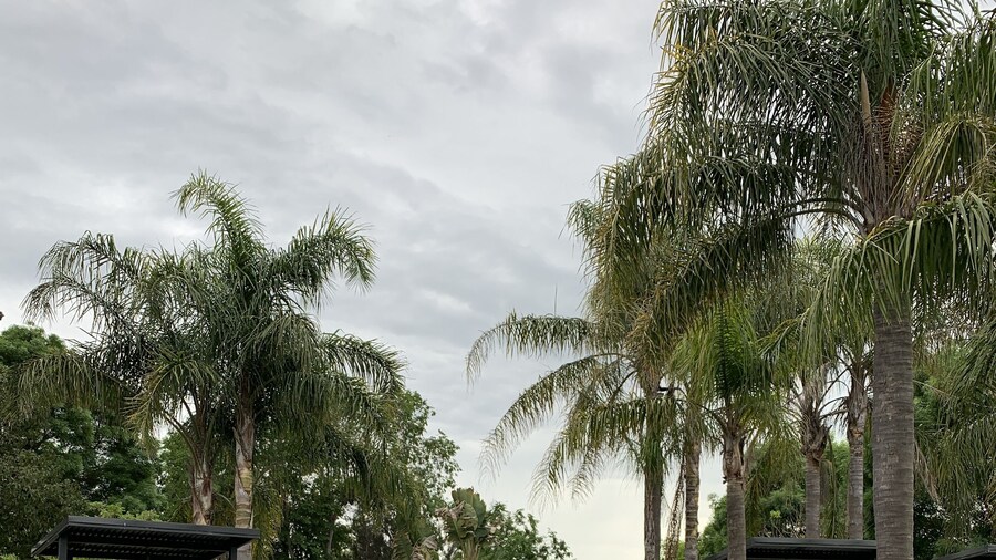 Federation Motel Resort