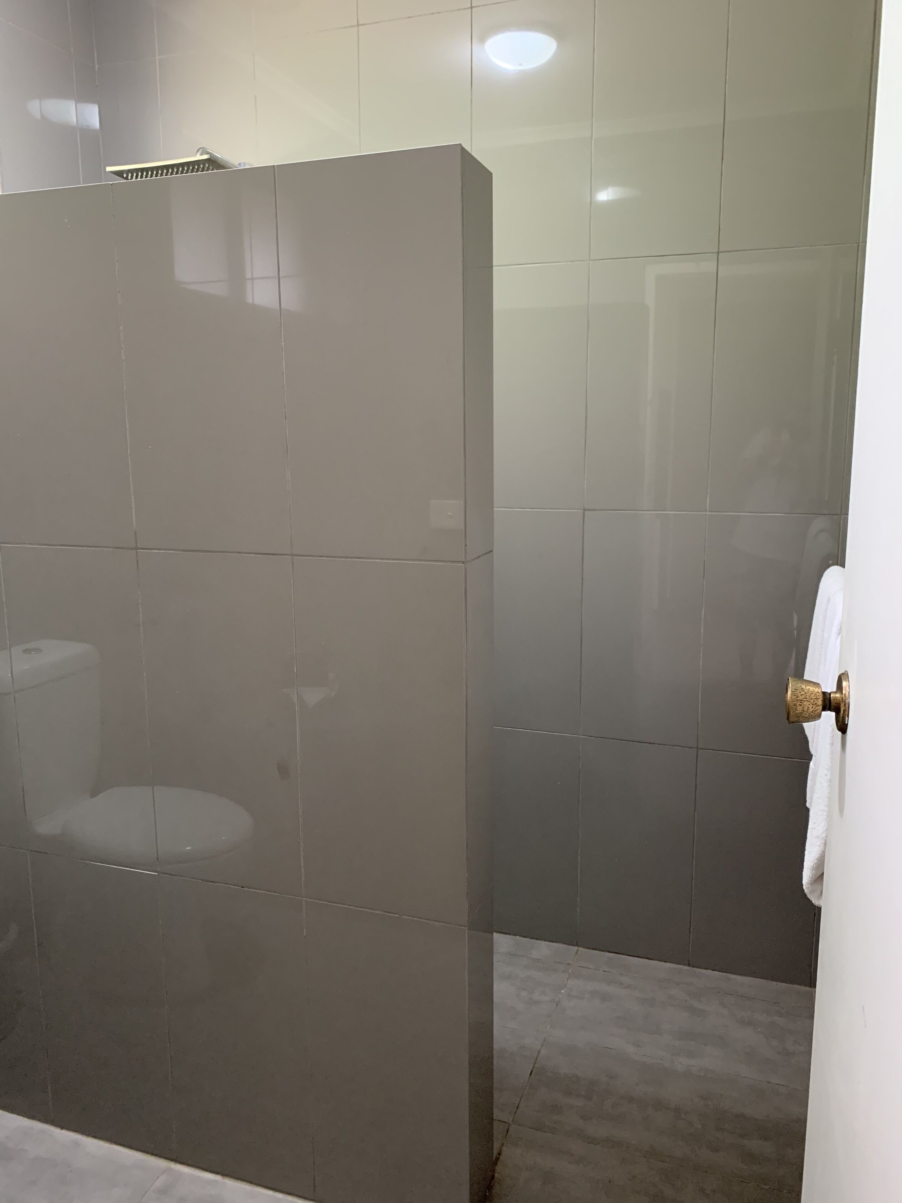 A bathroom with a glass shower enclosure, a toilet, and a towel hanging on a door.