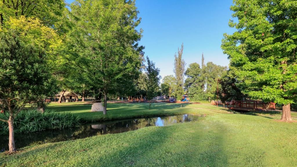 A park with a pond, trees, and a wooden bridge.