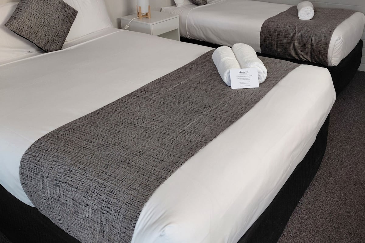 Deluxe Twin Room | Desk, iron/ironing board, free WiFi, bed sheets