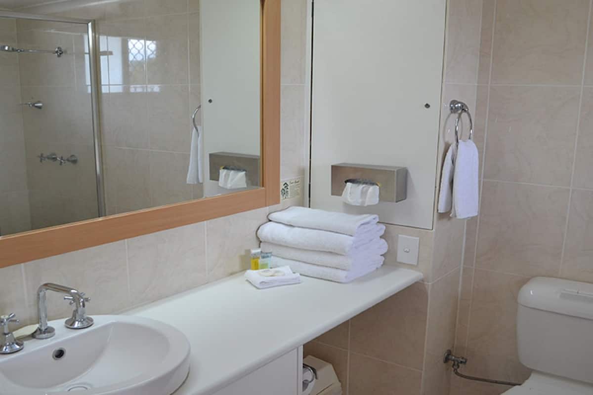 shower, free toiletries, hair dryer, towels