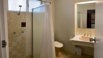 A bathroom with a shower, toilet, sink, and a mirror.