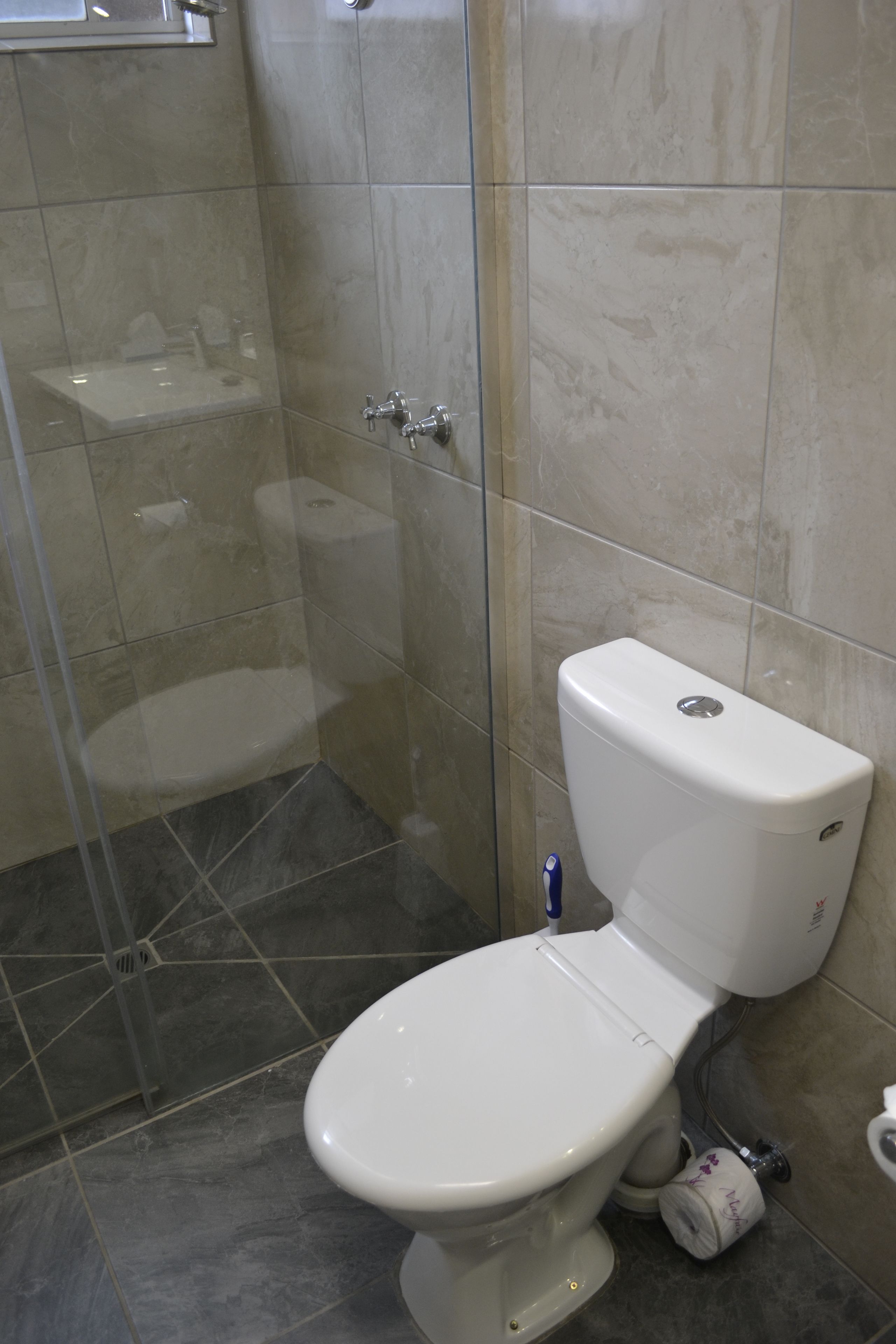 A bathroom with a toilet, a shower, and a glass-enclosed shower area.