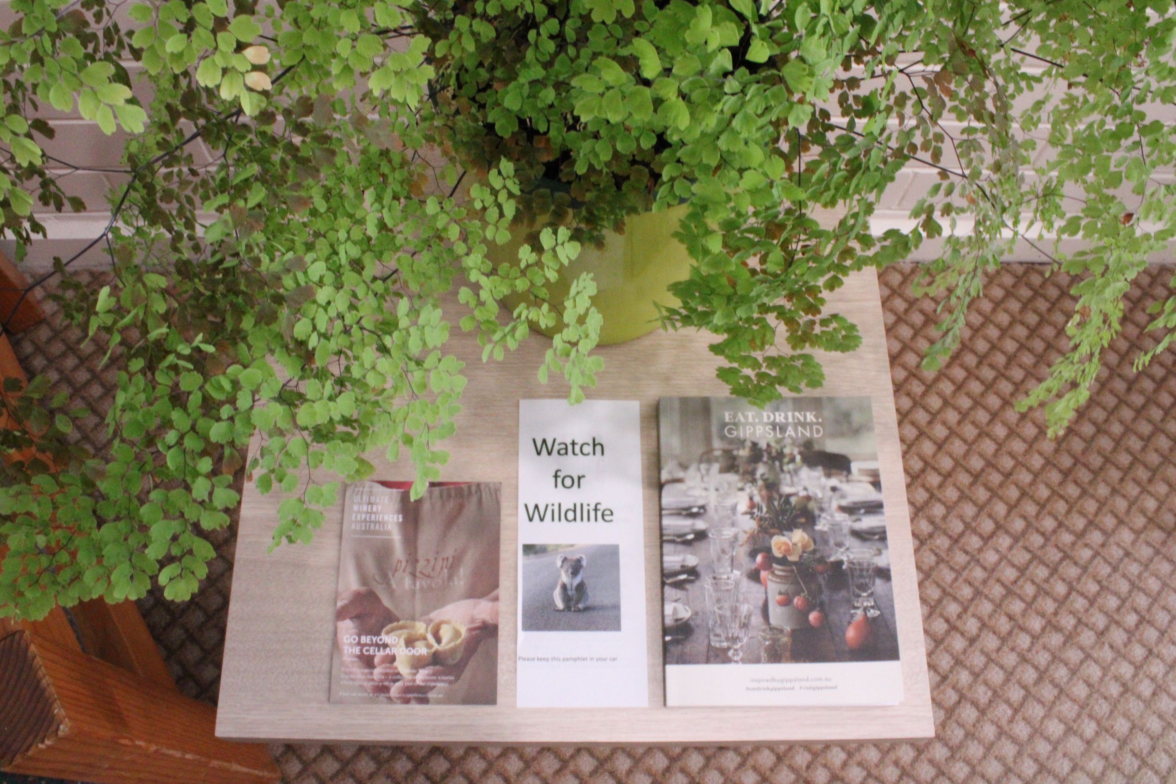 A table with a plant, two books, and a sign that says "Watch for Wildlife".