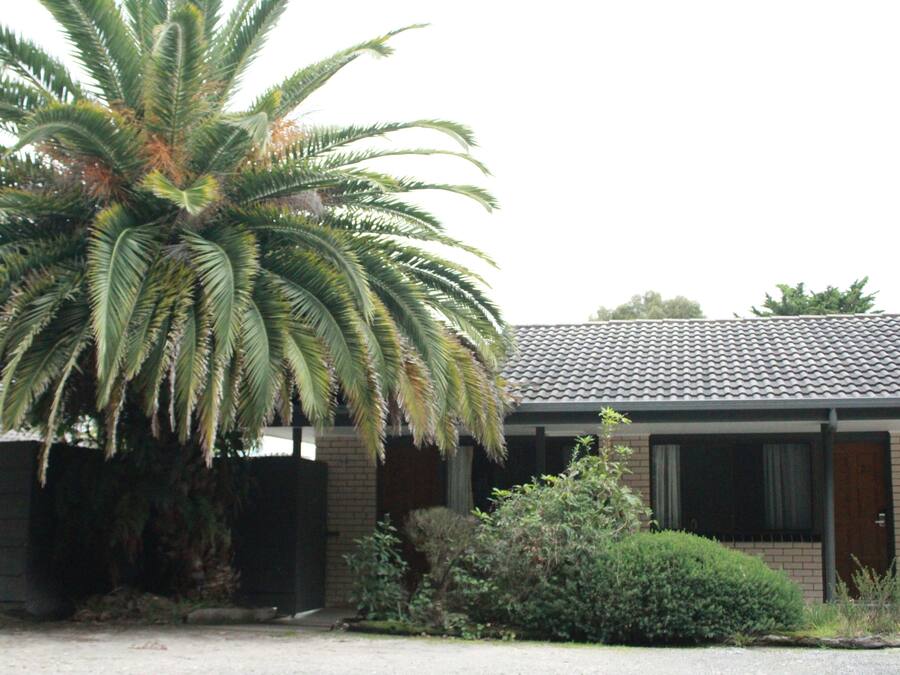 A house with a large palm tree in the front yard, a brick exterior, and a tiled roof.