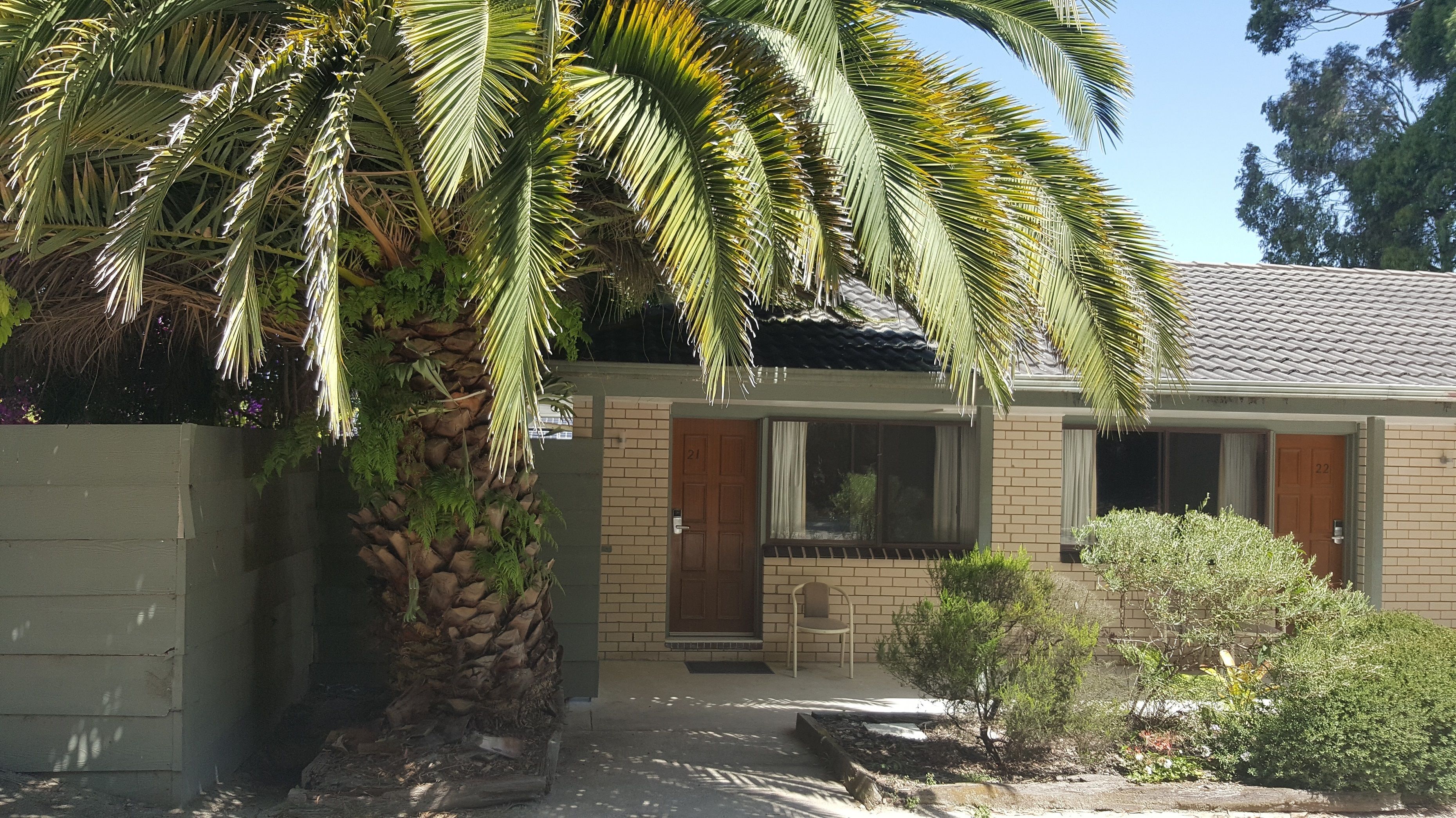Een huis met een palmboom ervoor, een bakstenen gevel en een klein terras met een stoel.