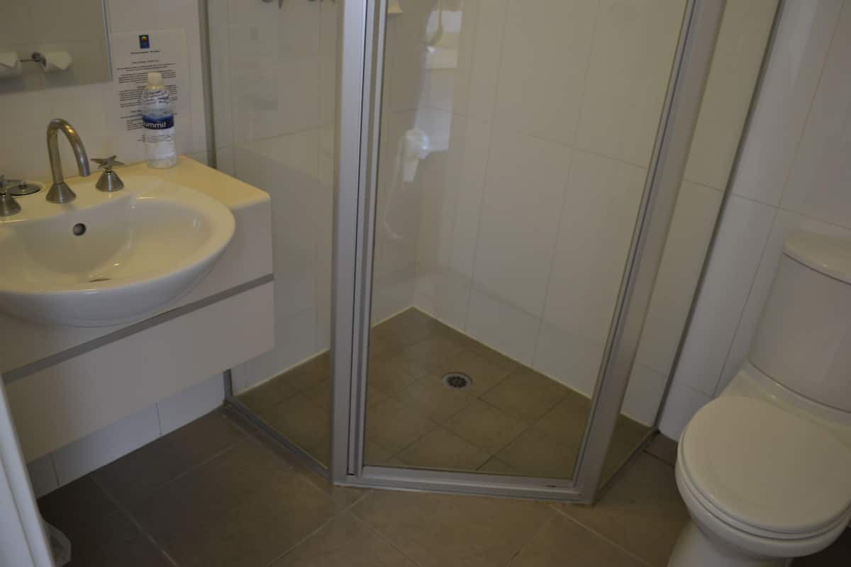 executive room - park view | bathroom | shower, free toiletries, hair dryer, towels