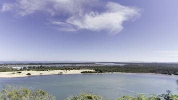 Un paisaje costero con una playa arenosa, agua azul cristalina y vegetación densa.
