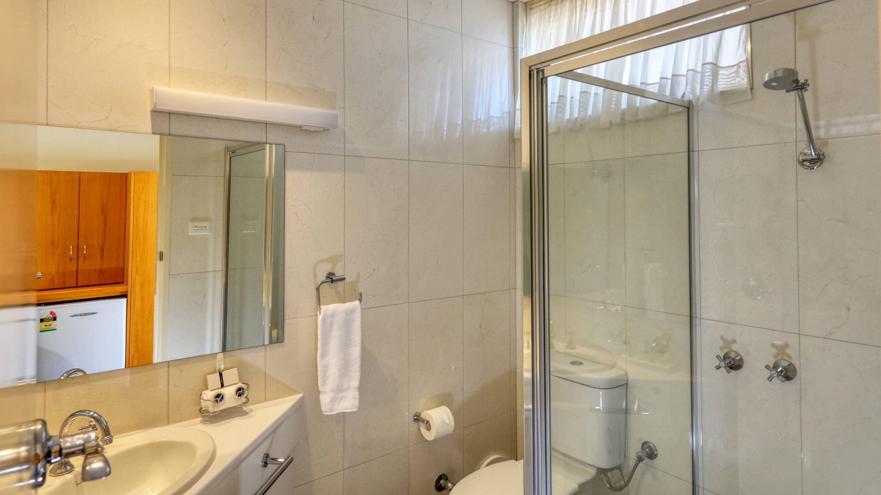 A modern bathroom with a glass-enclosed shower, a sink, a toilet, and a mirror.