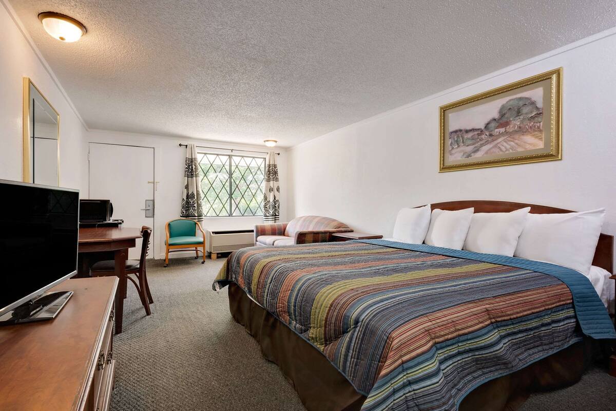 A hotel room with a bed, a desk, a chair, a television, and a window with curtains.
