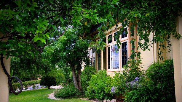 Garden - Cotswold Gardens (Armidale)