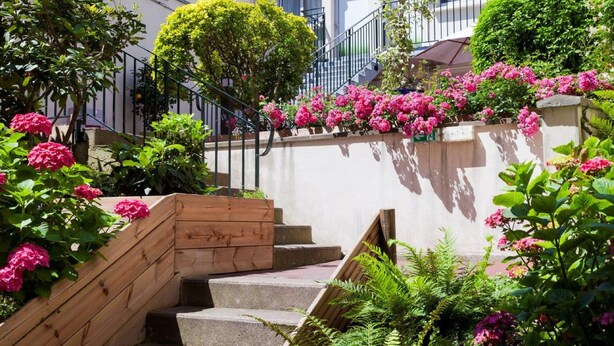 Uma escadaria com guarda-corpos de madeira e flores cor-de-rosa, que leva a um edifício com fachada branca e varandas.