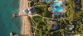 バルミー フォレスタ