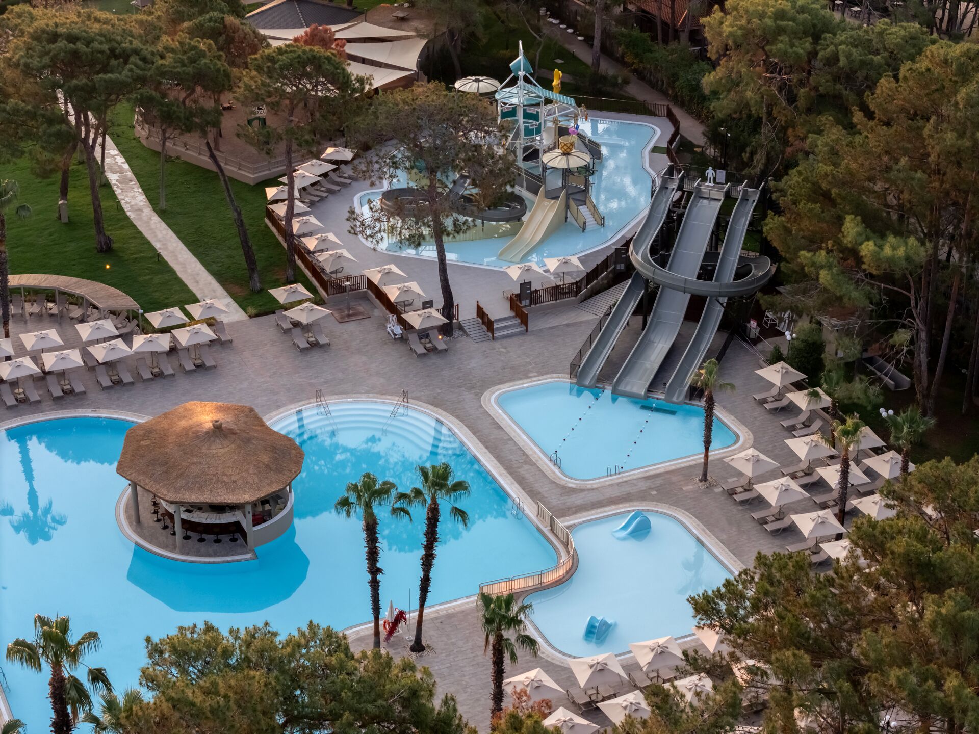 Foto - Balmy Foresta