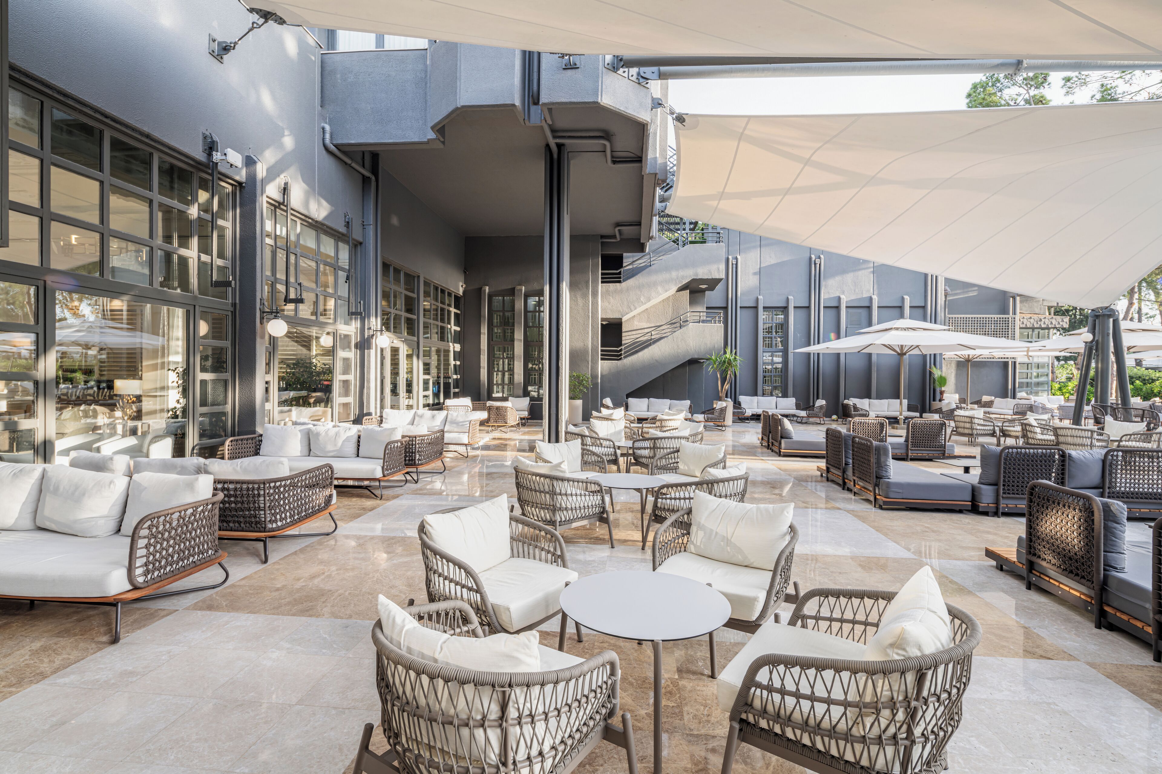 Foto - Balmy Foresta