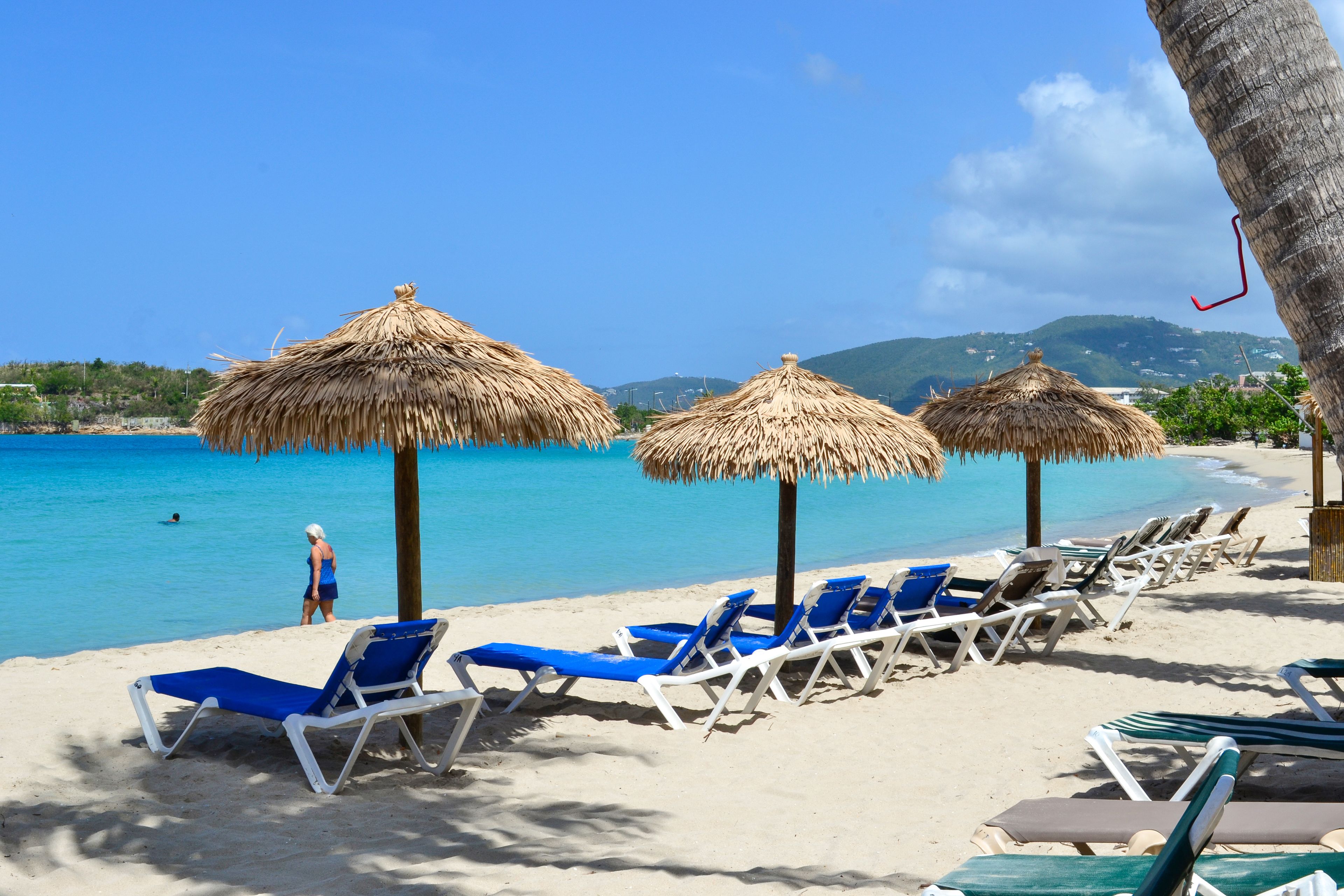 Une plage avec des parasols en chaume et des chaises longues.