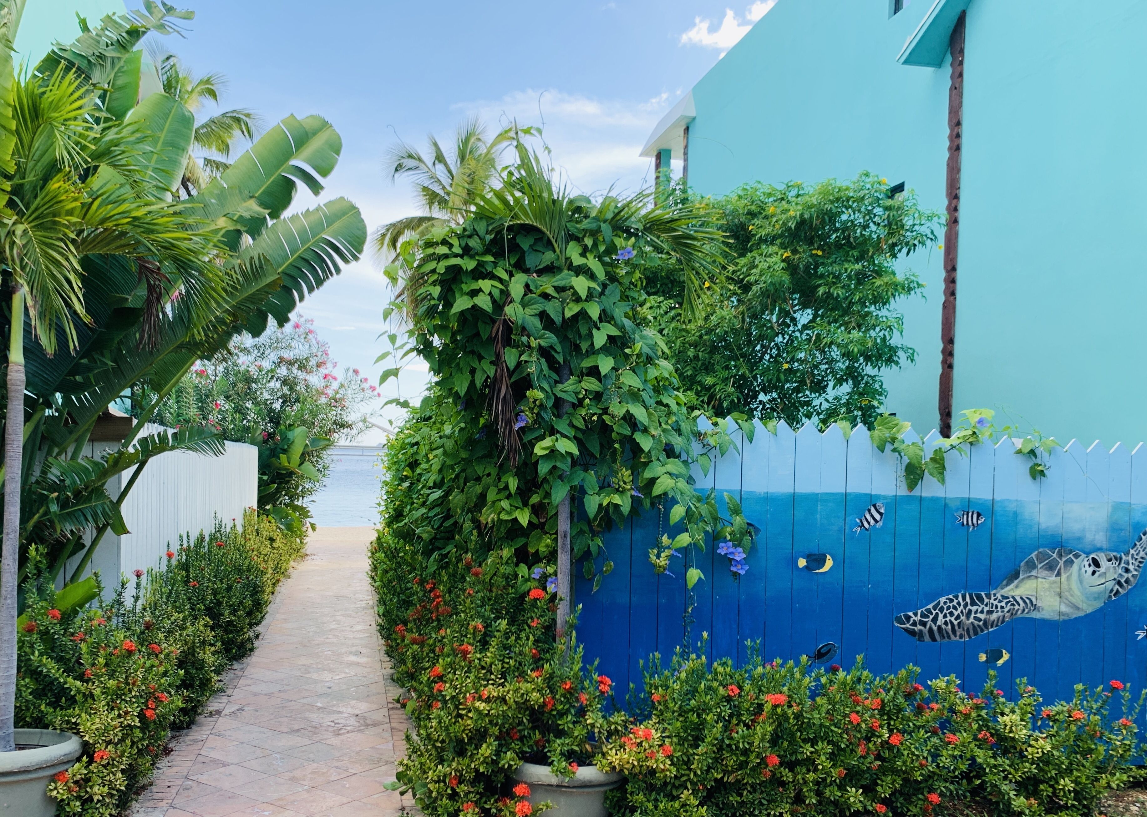 Un sendero bordeado por plantas tropicales y un mural de vida marina en una pared azul.