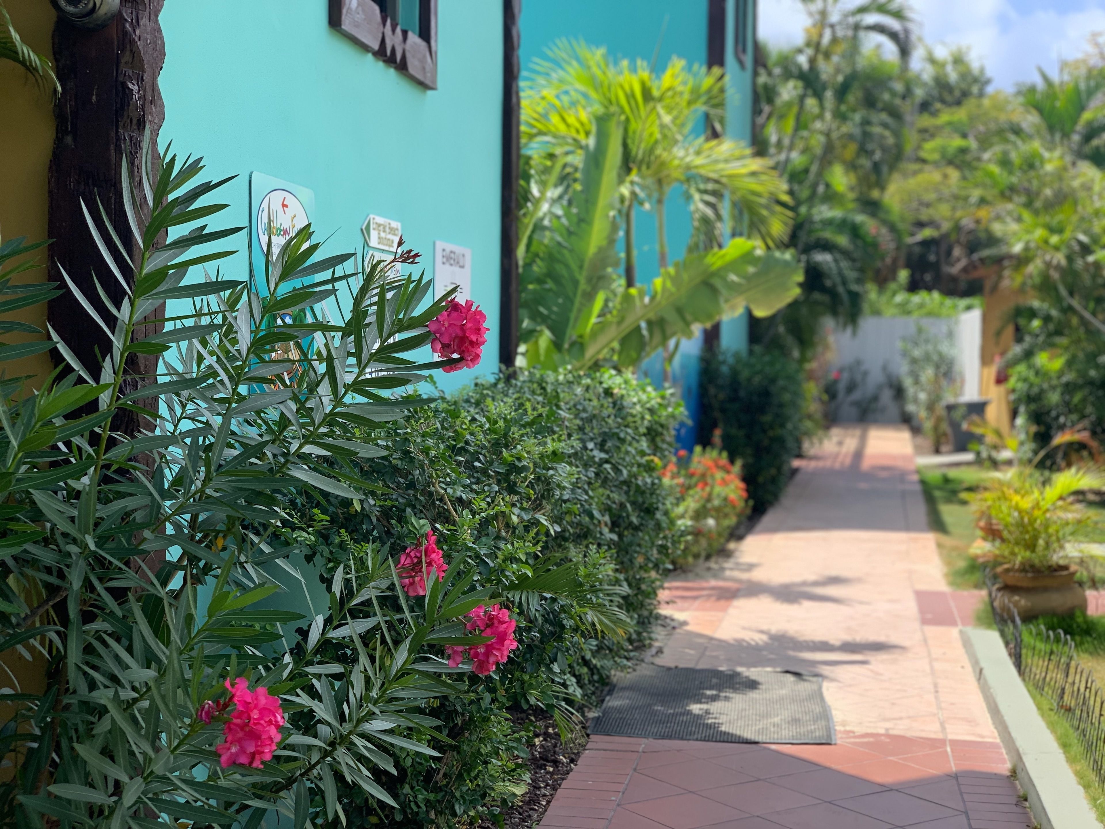 A pathway lined with lush greenery and flowering plants leading to a building with a teal facade.