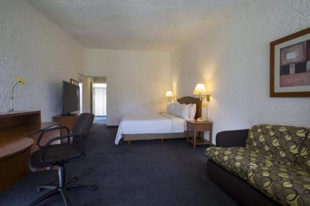 مكتب ومكواة/لوح كي وأسرّة أطفال/رضّع (مجانًا) وواي فاي مجانًا