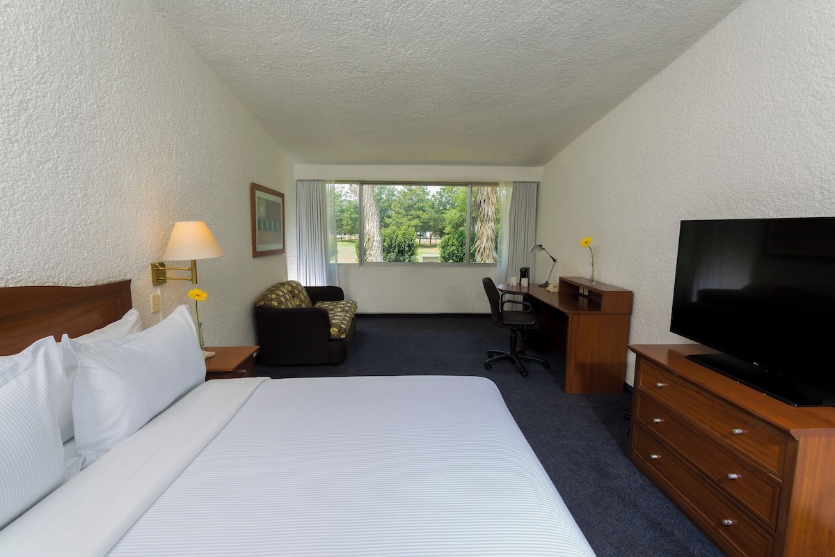 Ein Hotelzimmer mit einem großen Bett, einem Schreibtisch mit Fernseher, einem Sessel und einem Fenster mit Blick ins Grüne.