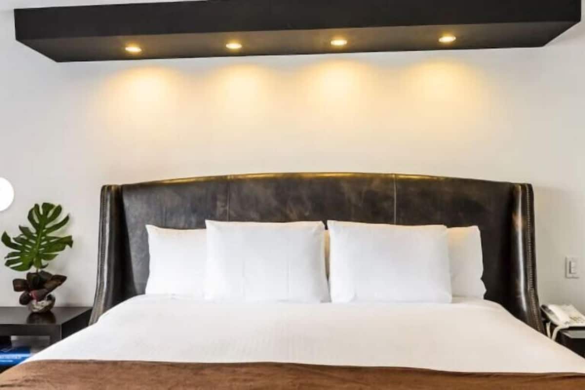Premium bedding, in-room safe, desk, blackout drapes