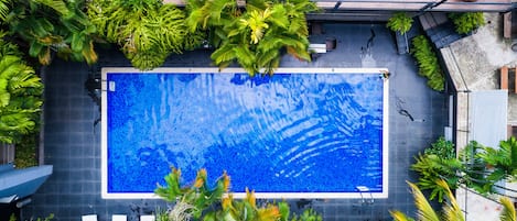 Outdoor pool, sun loungers