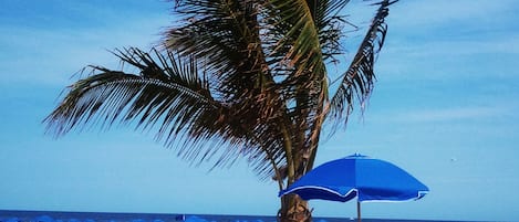 Aan het strand, ligstoelen aan het strand, parasols, strandlakens