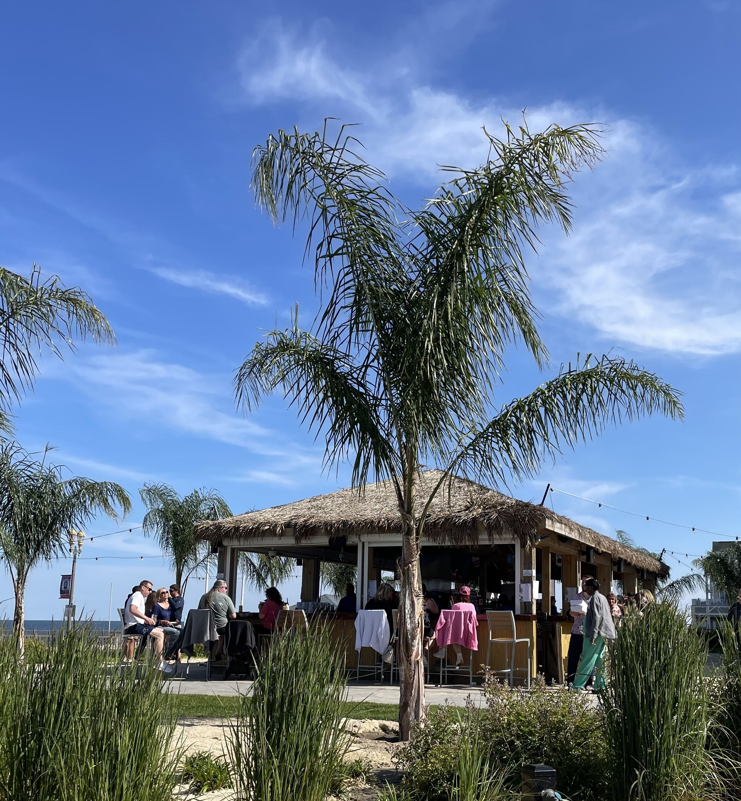 A thatched-roof outdoor seating area with tables and chairs, surrounded by palm trees and greenery.
