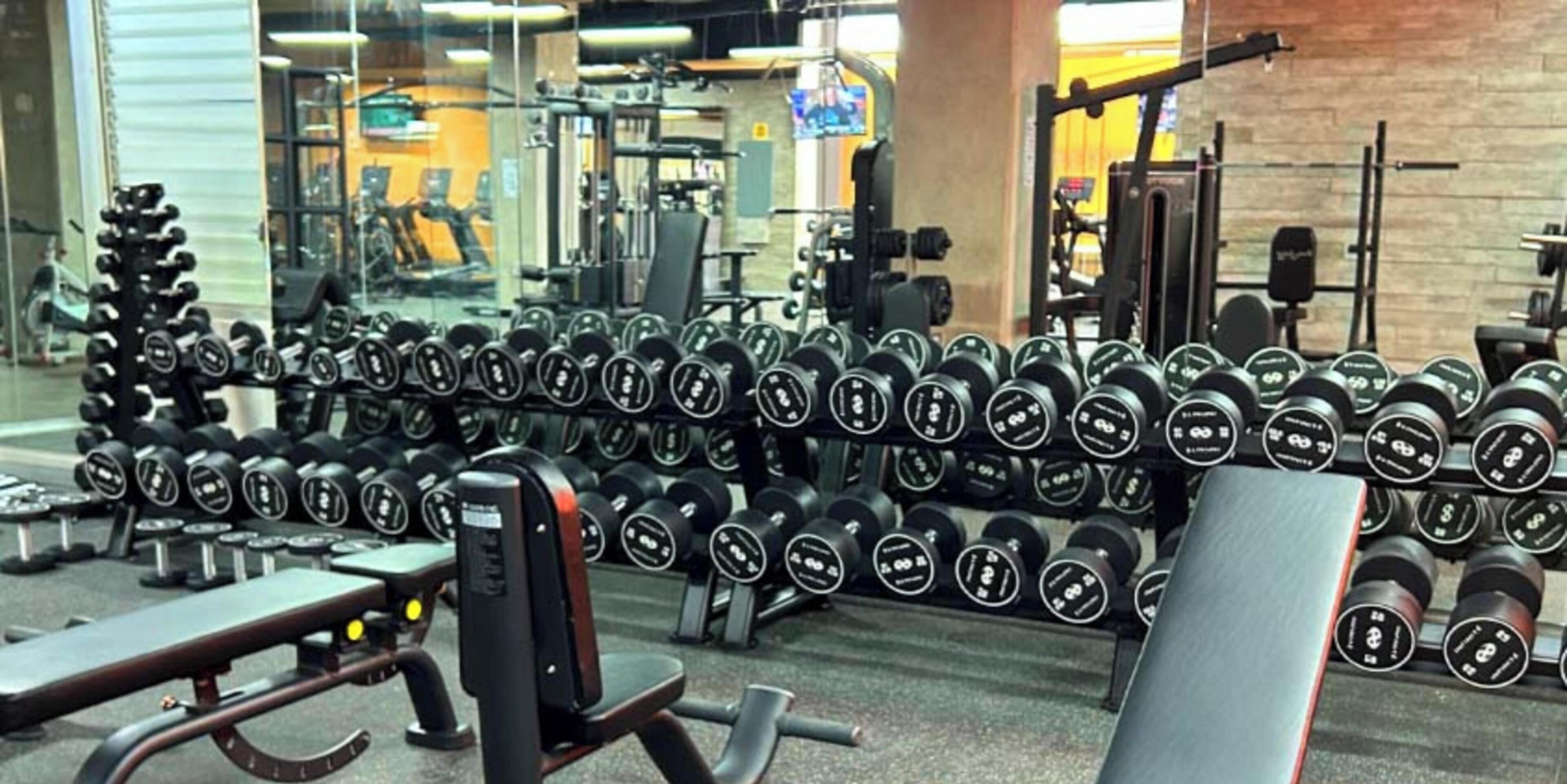 Un gimnasio con filas de mancuernas, bancos y equipo de ejercicio.