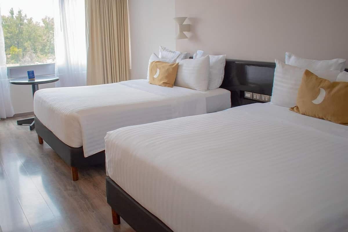Roupas de cama premium, edredons de pluma, cofres nos quartos