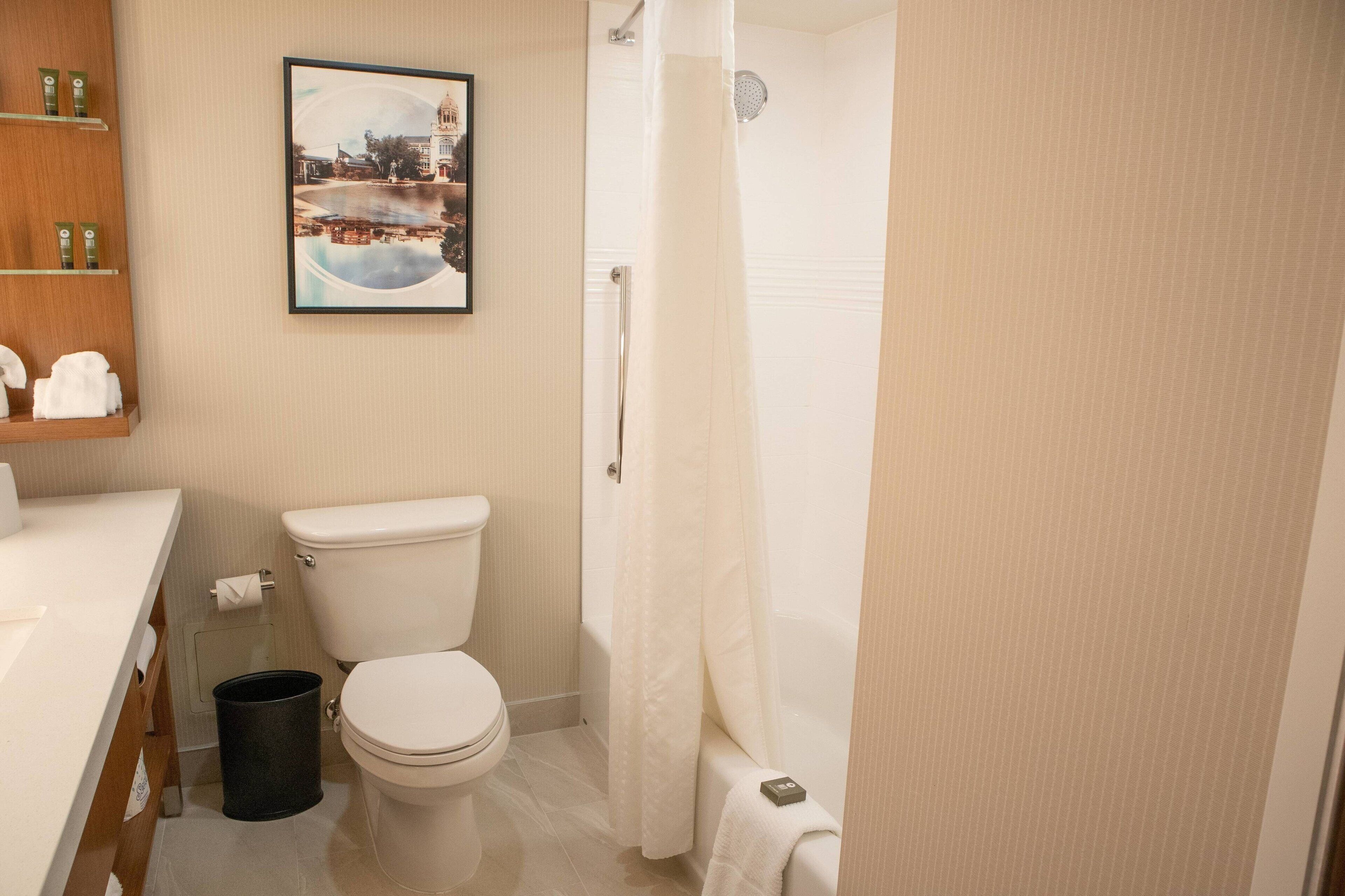 Un baño con inodoro, lavamanos, cortina de ducha y un cuadro en la pared.