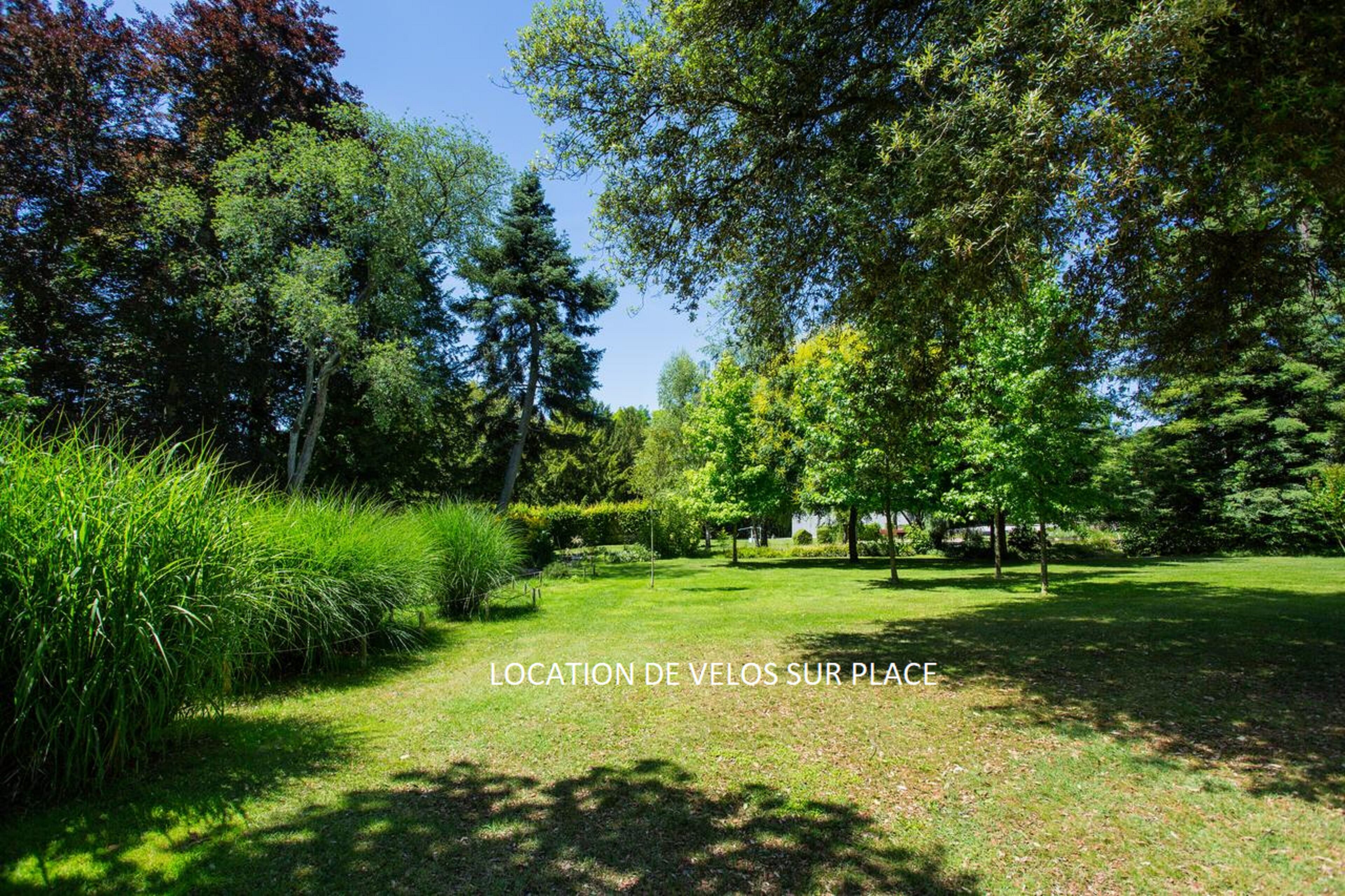Un parc avec une pelouse et des arbres.
