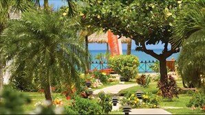 A tropical garden with a pathway leading to a beach. - Coyaba Beach Resort (St. George's)
