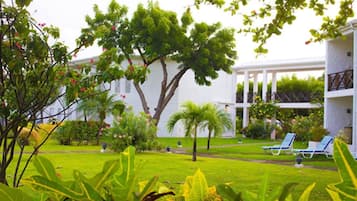 A lush garden with a white building, palm trees, and lounge chairs.