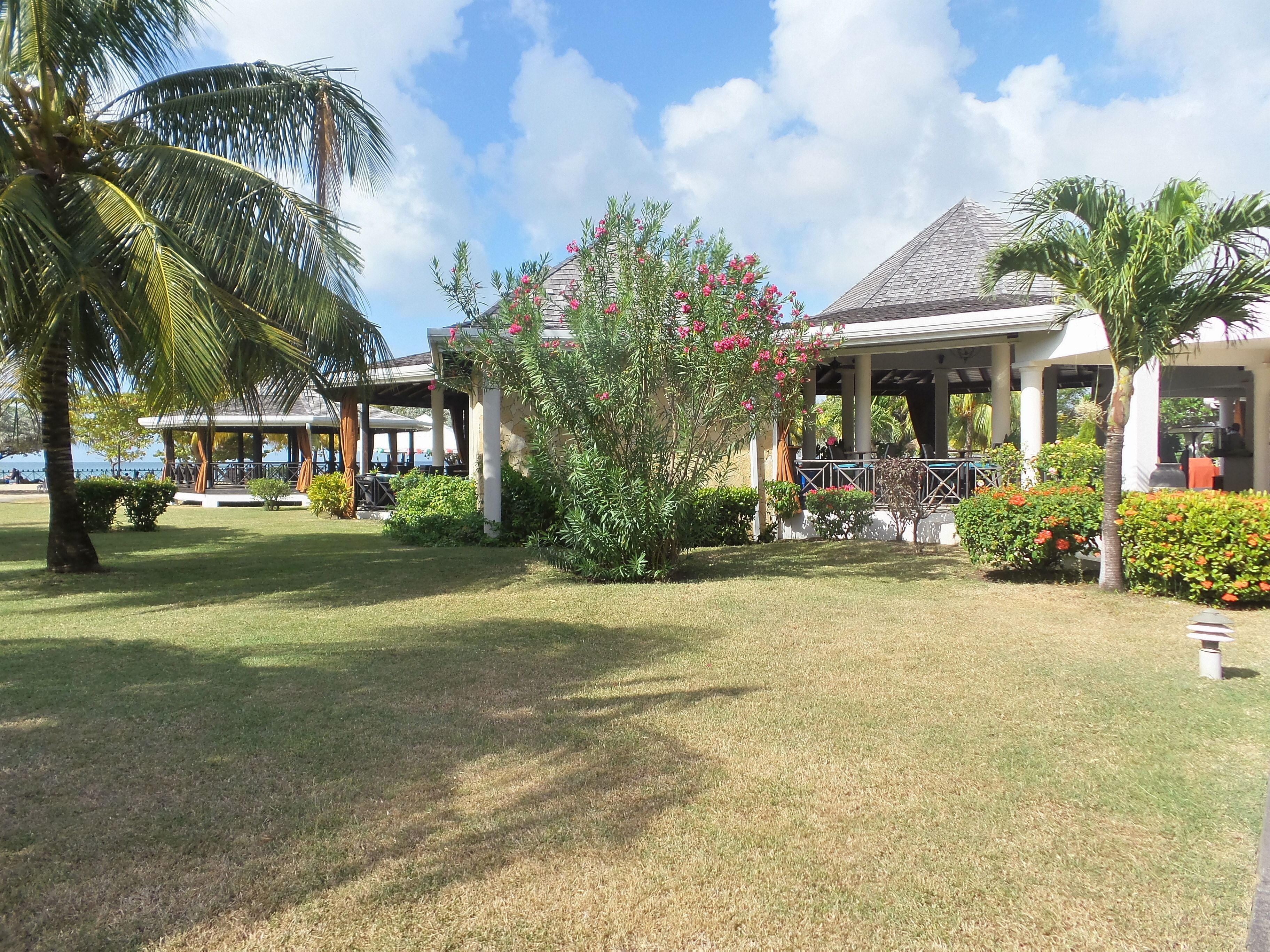 A resort with a covered outdoor seating area, palm trees, and a view of the sea.