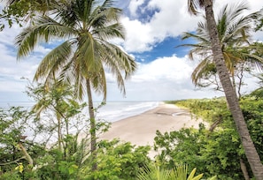 Private beach, sun loungers, beach towels, beach volleyball