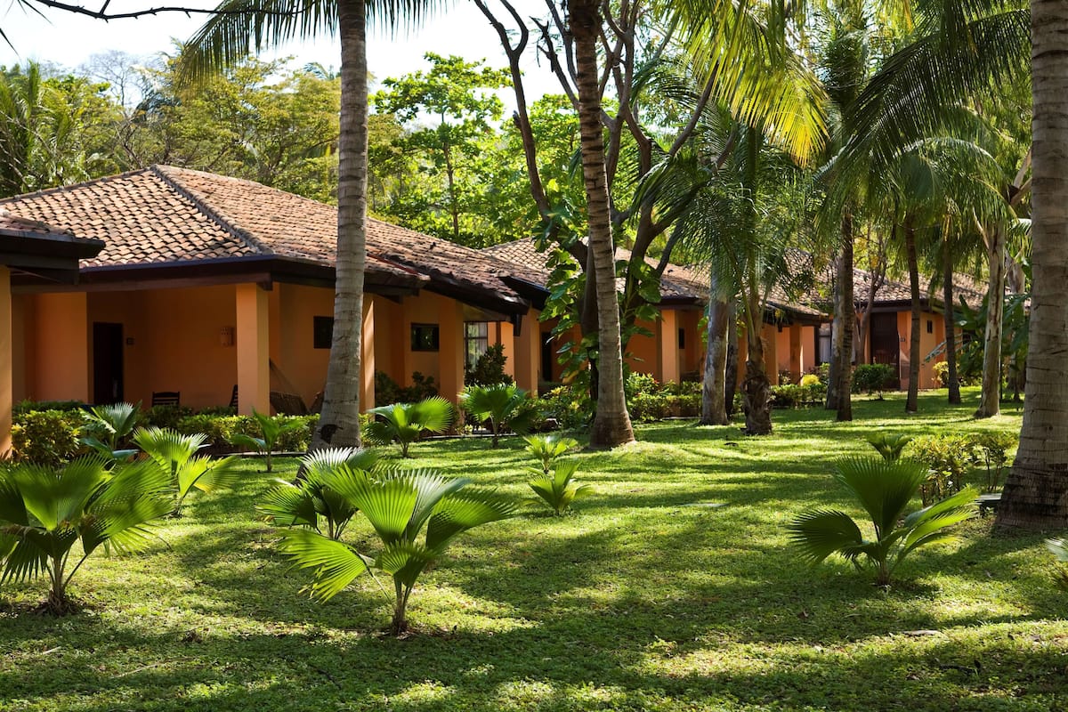 Quang cảnh từ phòng