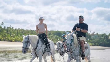 Two people riding horses along a water body with a tropical background.
