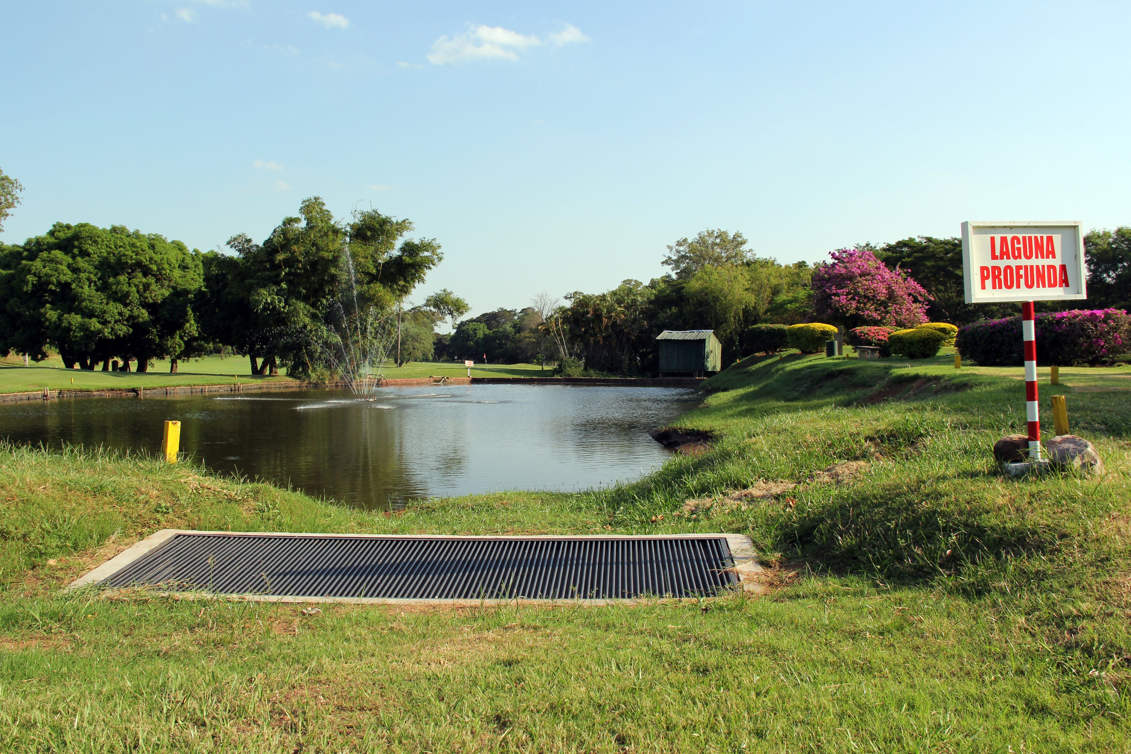 A tranquil park with a pond, a drainage grate, and a sign reading "Laguna Profunda".